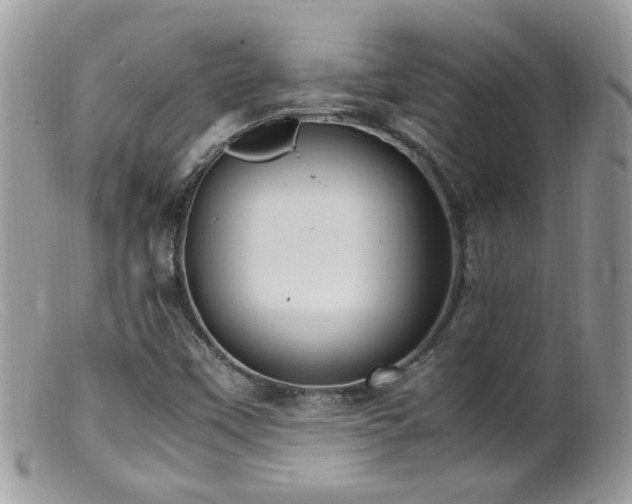 X0000099401451200805151654