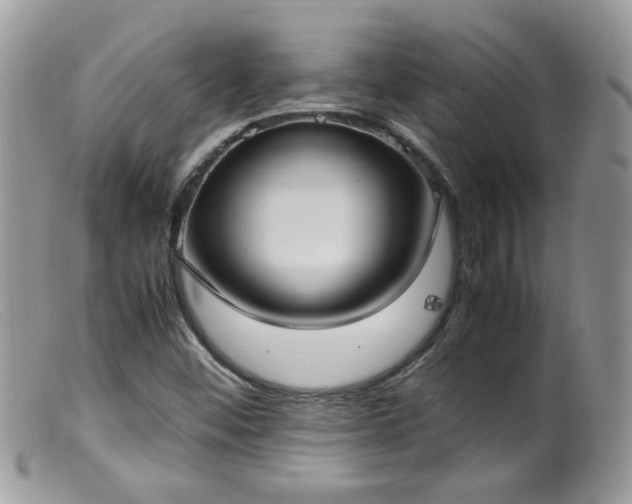 X0000099401452200805151654