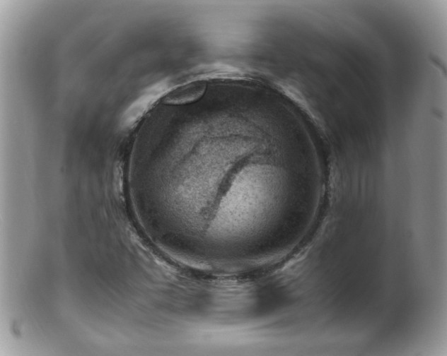X0000099401455200805151654