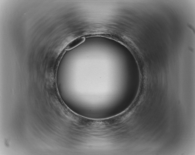 X0000099401457200805151654