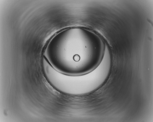 X0000099401460200805151654