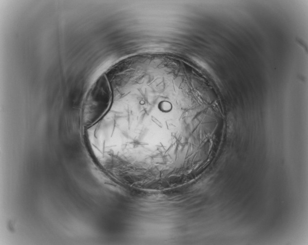 X0000099401467200805151654