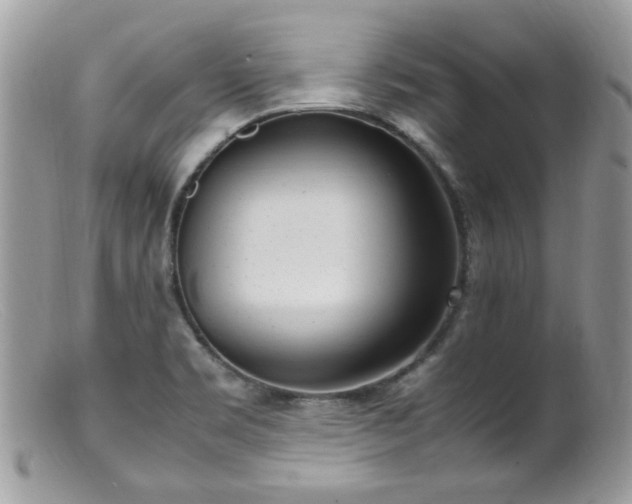 X0000099401469200805151654