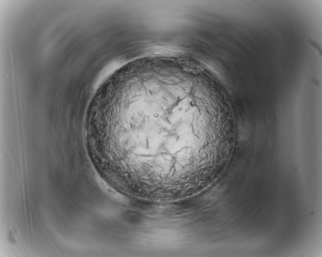 X0000099401471200805151654