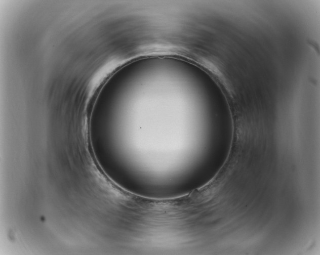X0000099401472200805151654