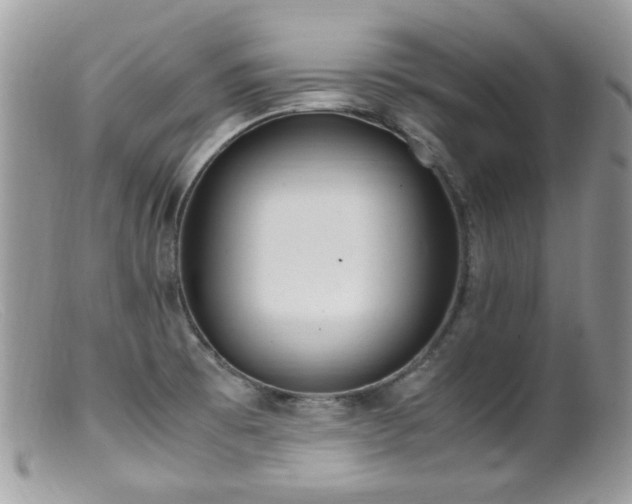 X0000099401473200805151654