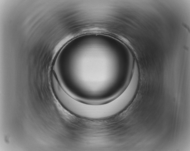 X0000099401474200805151654