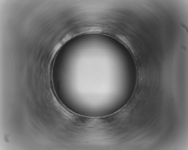 X0000099401475200805151654