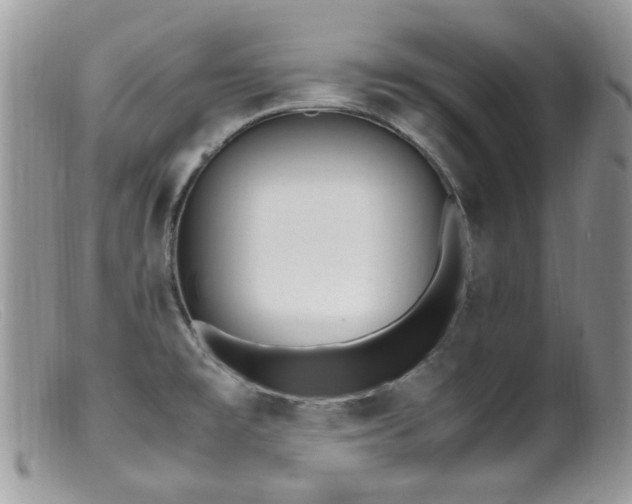 X0000099401477200805151654