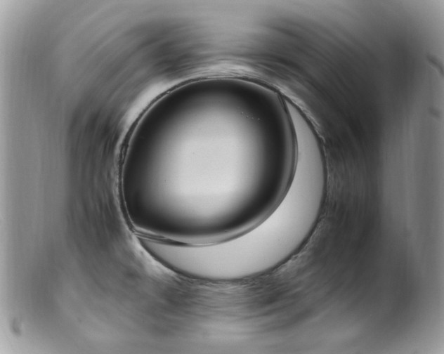X0000099401478200805151654
