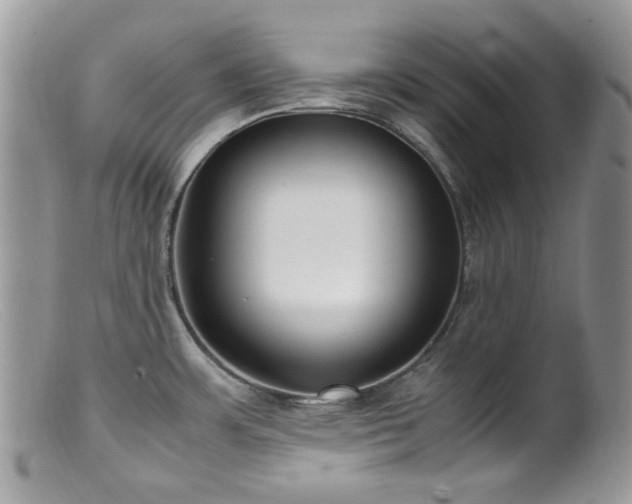 X0000099401483200805151654