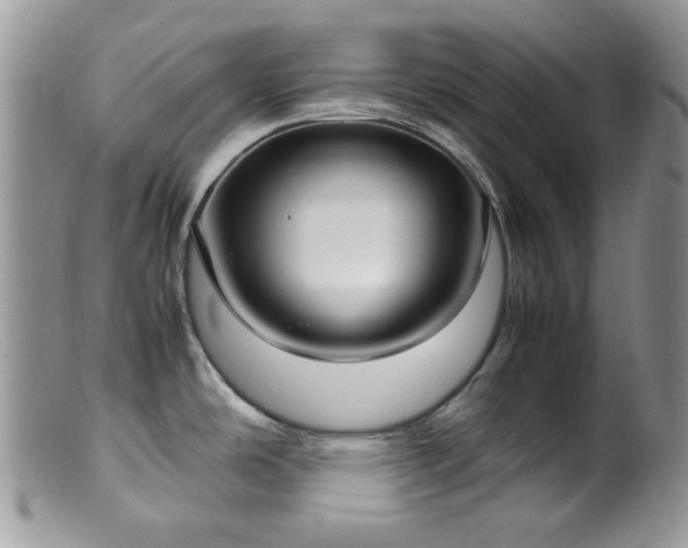 X0000099401486200805151654