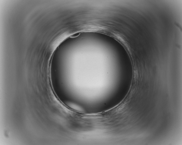 X0000099401487200805151654