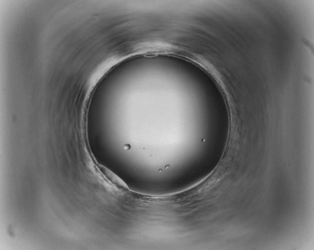 X0000099401488200805151654