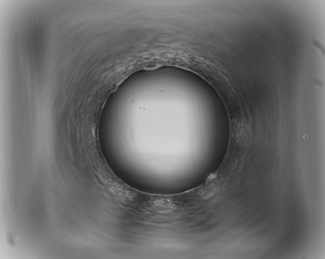 X0000099401489200805151653