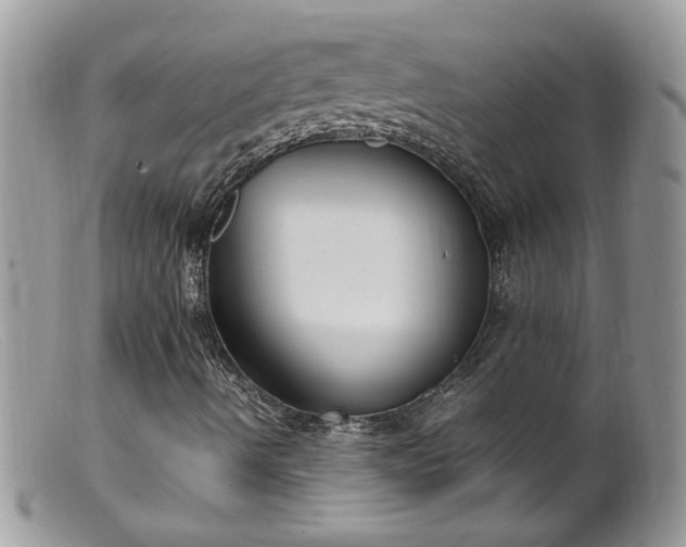 X0000099401490200805151653