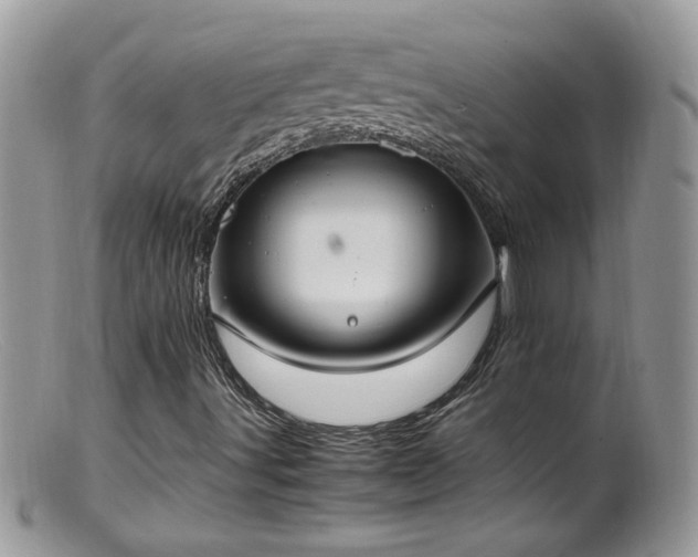 X0000099401491200805151653