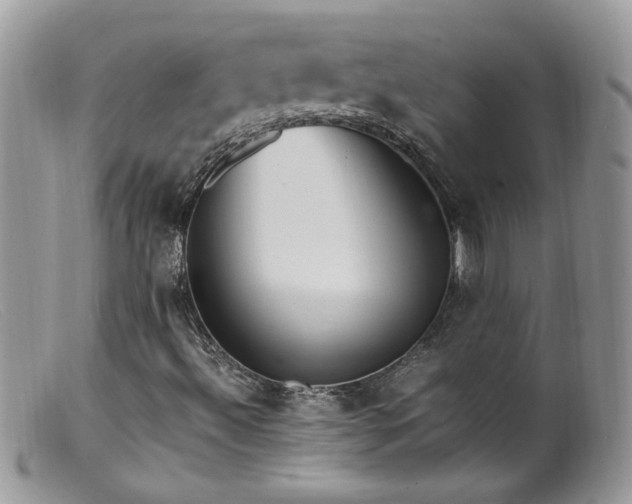 X0000099401492200805151653