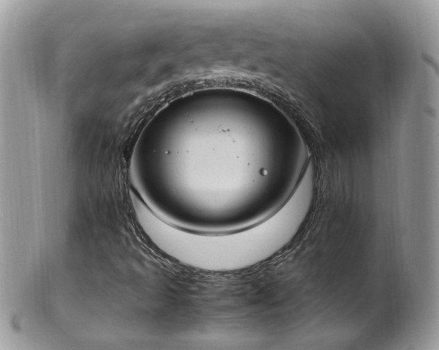 X0000099401493200805151653