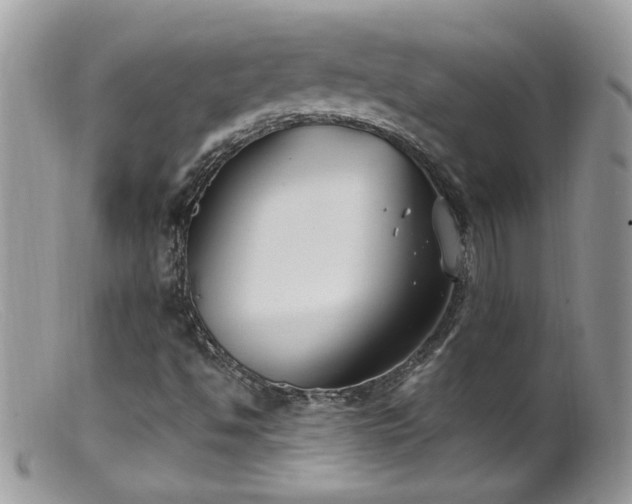 X0000099401494200805151653