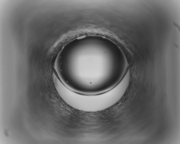 X0000099401495200805151653