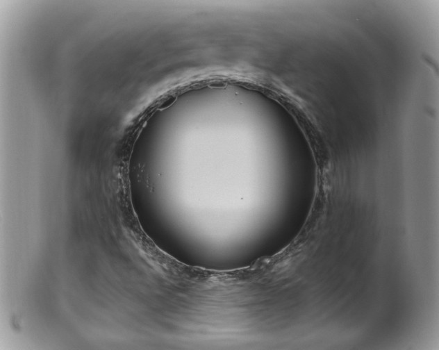 X0000099401496200805151653