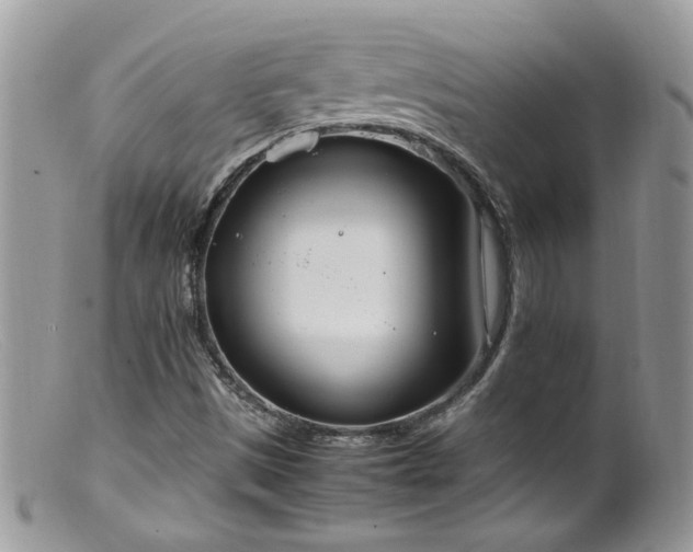 X0000099401497200805151653