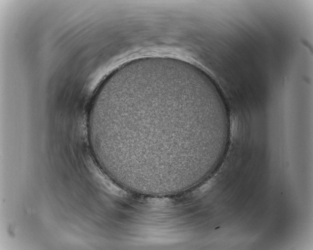 X0000099401498200805151653