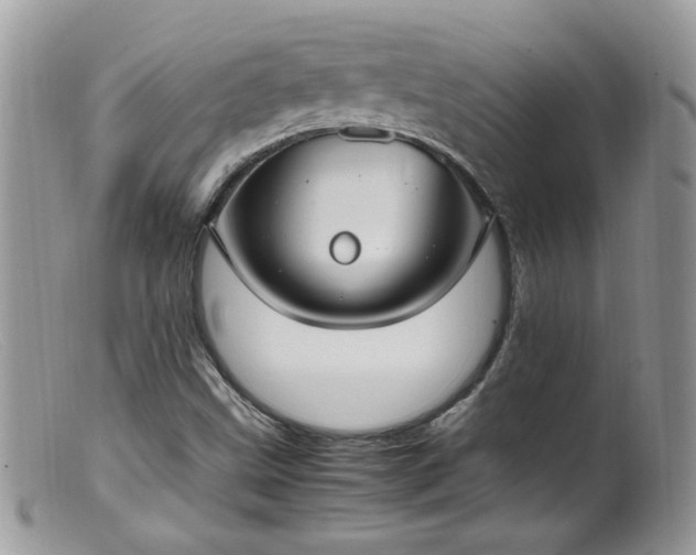 X0000099401499200805151653