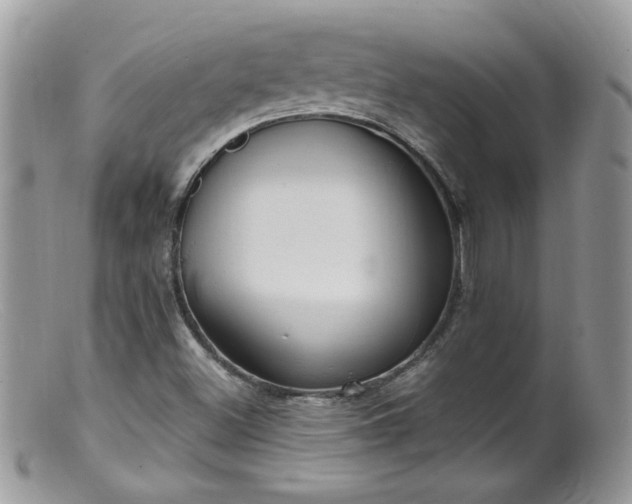 X0000099401500200805151653
