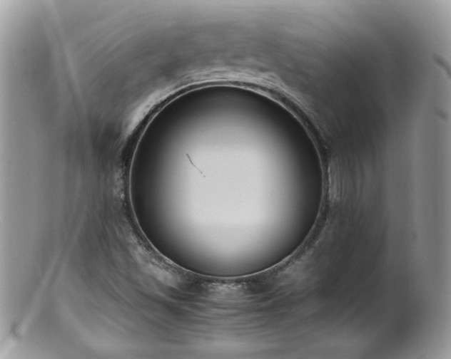 X0000099401501200805151653