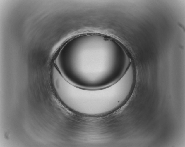 X0000099401502200805151653