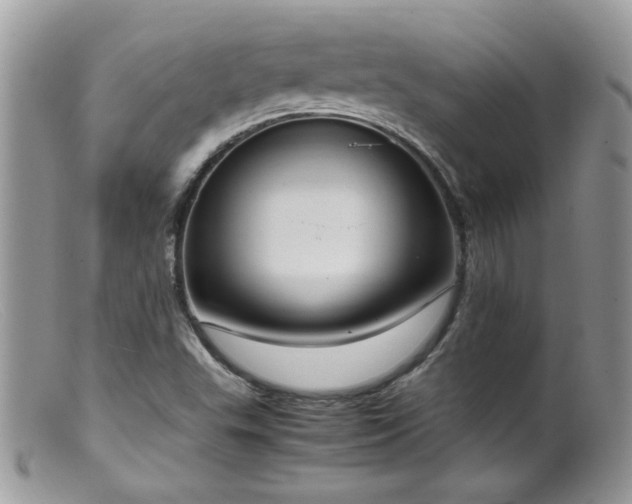 X0000099401503200805151653