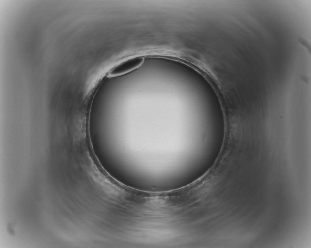 X0000099401504200805151653