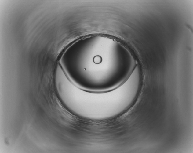 X0000099401505200805151653
