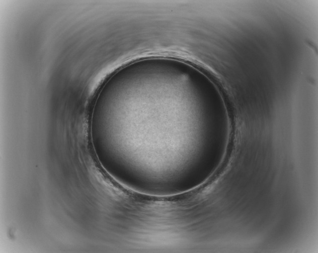 X0000099401506200805151653