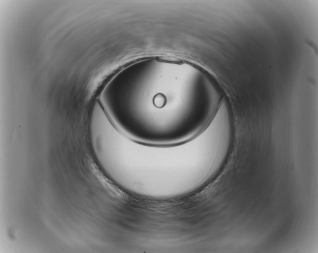 X0000099401507200805151653