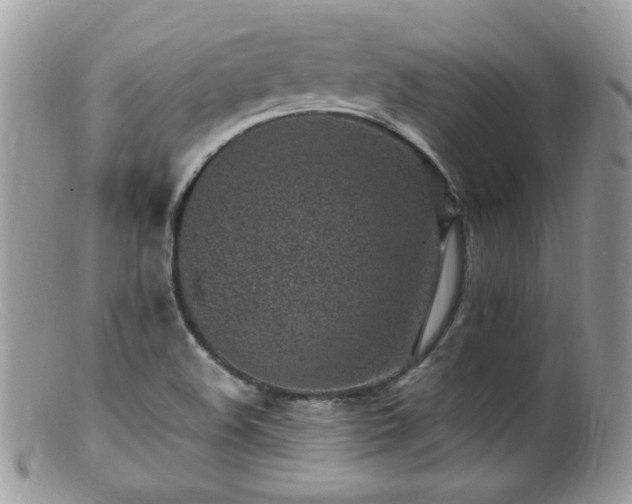 X0000099401508200805151653