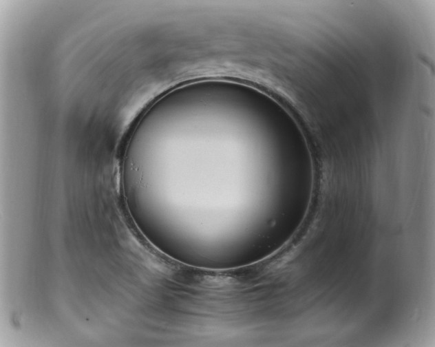 X0000099401509200805151653