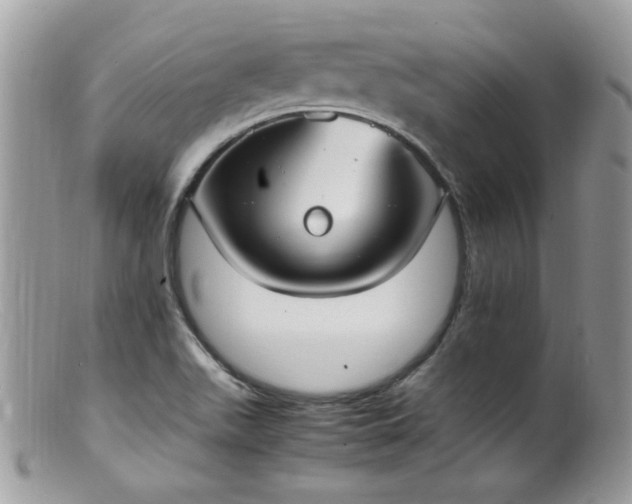 X0000099401511200805151653