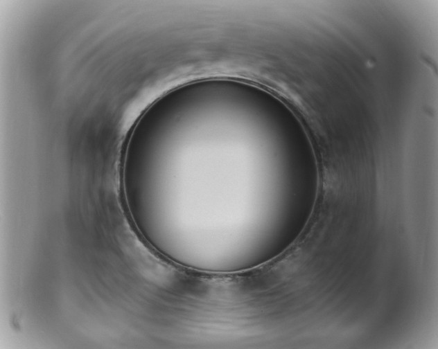 X0000099401512200805151653