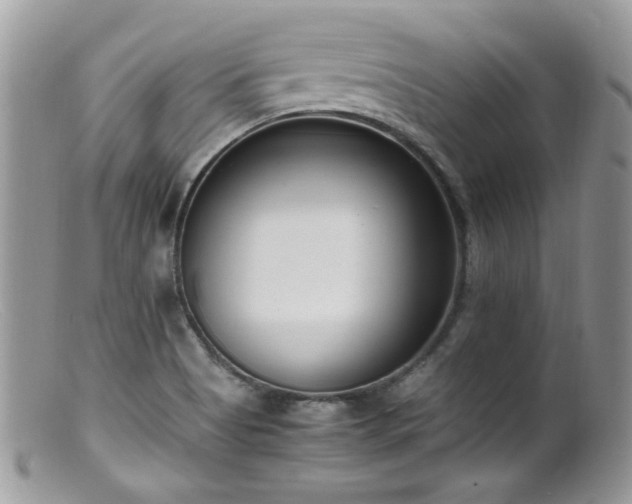 X0000099401513200805151653