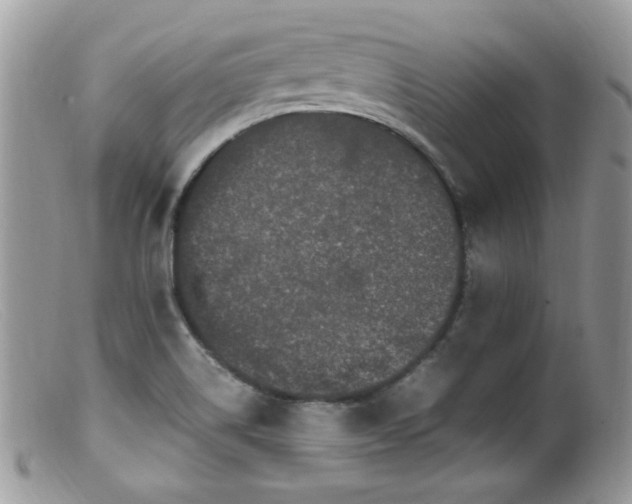X0000099401514200805151653