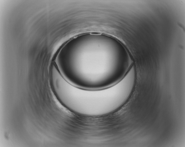 X0000099401515200805151653