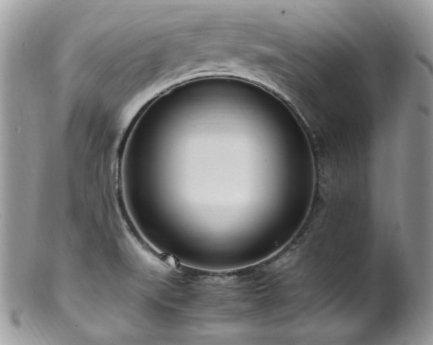 X0000099401519200805151653