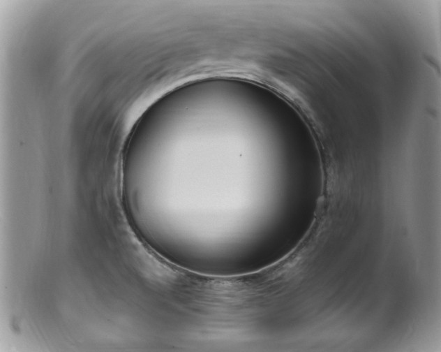 X0000099401520200805151653