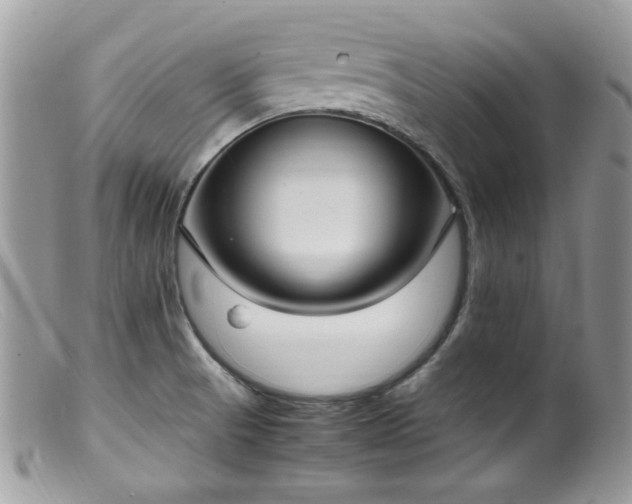 X0000099401521200805151653