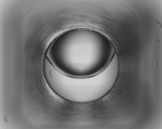 X0000099401523200805151653
