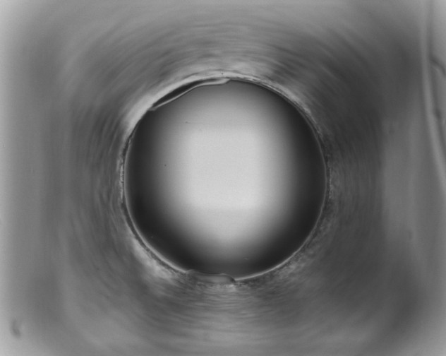 X0000099401524200805151653