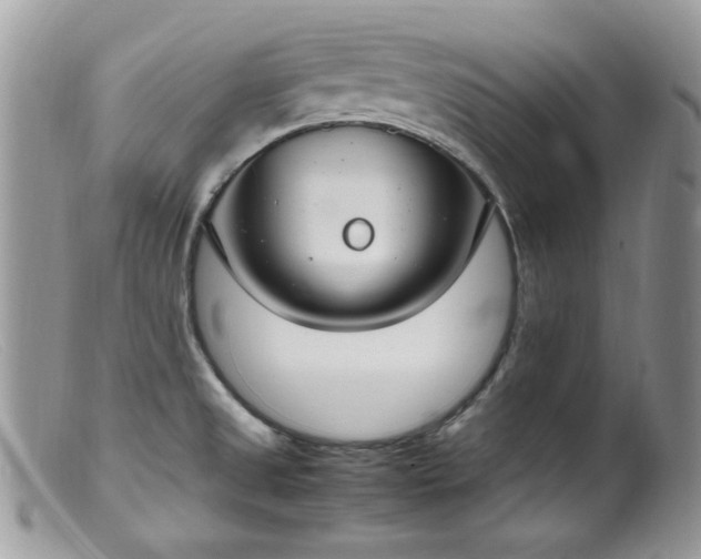 X0000099401525200805151653